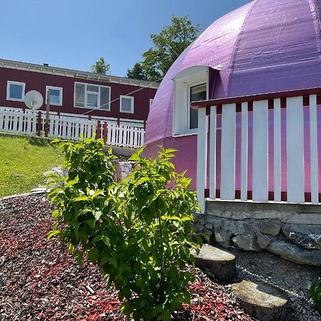 Kirchberg an der Pielach Dirndlhaus 아파트 외부 사진