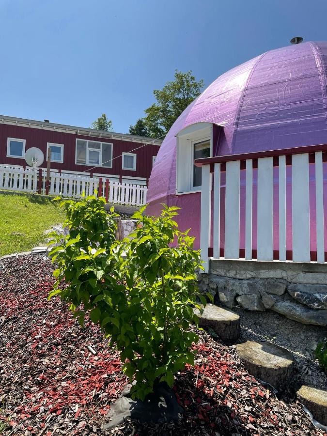 Kirchberg an der Pielach Dirndlhaus 아파트 외부 사진